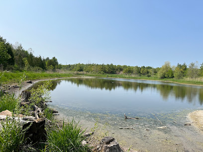 Cedar Trail and the Beare Wetlands Loop