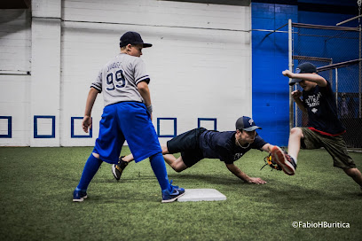 Pro Teach Baseball