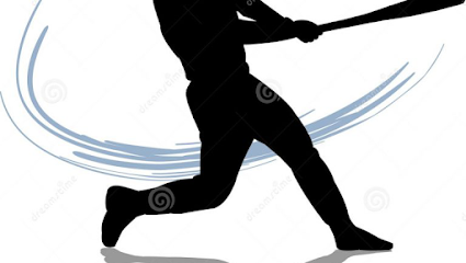 Elite Baseball Training
