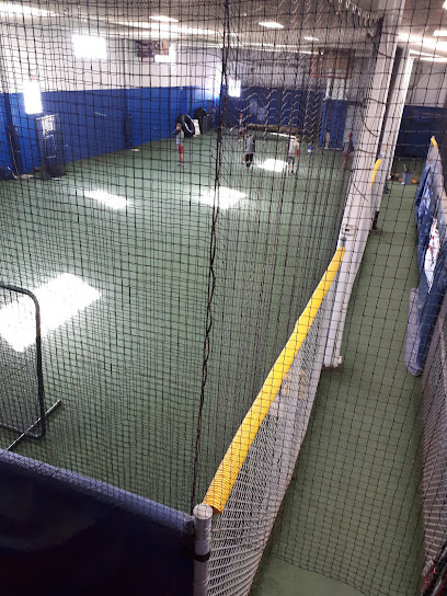 The Dugout Baseball & Soft Ball Academy Inc