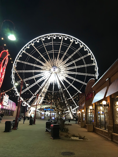 Niagara SkyWheel