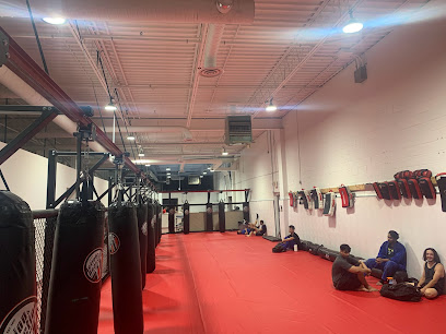 Action & Reaction MMA Inc.