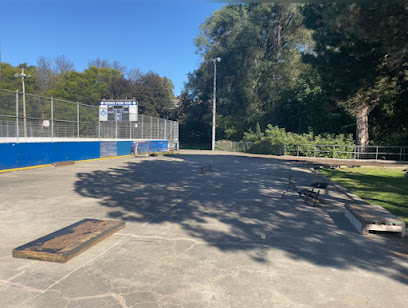 Rennie Park Skate Area