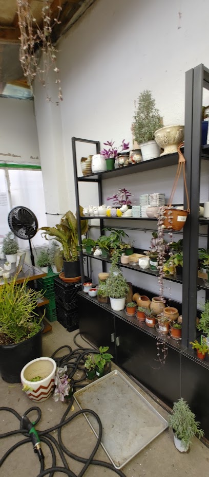 NVI Garden