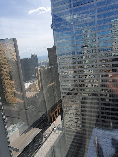 Blake, Cassels & Graydon LLP