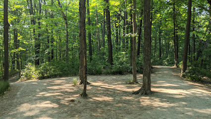 Earl Bales Park Trails