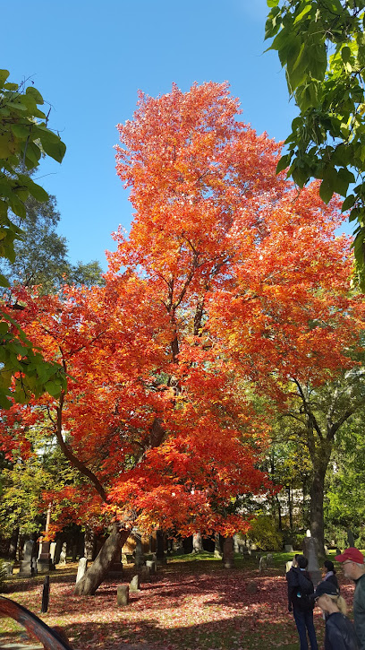 Beltline Trail