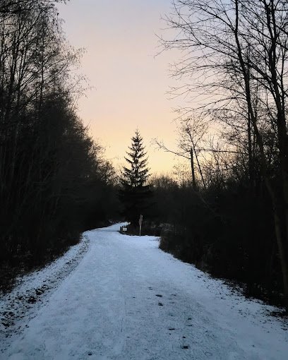 West Don Parkland