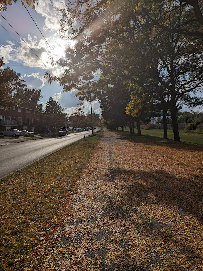 Lavender Creek Trail