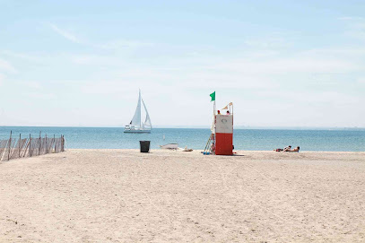 Hanlan's Point Beach