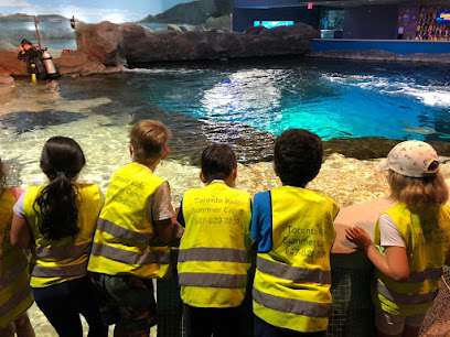 Toronto Kidz Summer Camp