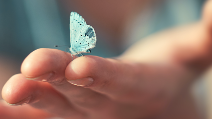 TheAnxiety.Clinic | Toronto's Psychotherapeutic Counselling, Executive Coaching & Workshops