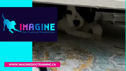 Imagine Dog Training