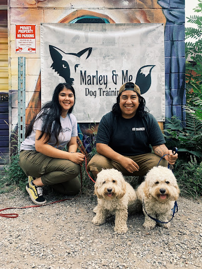 Marley's Misfits Dog Training