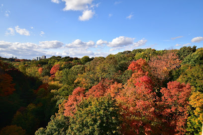 Beaumont Park
