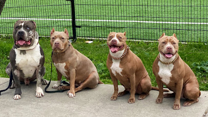 Z&M K9 Dog Training