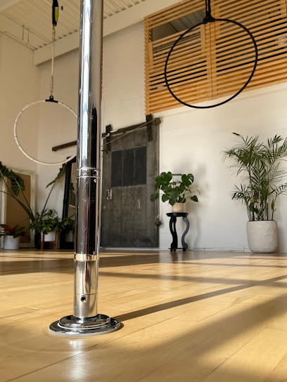 Ultra Violet Pole and Cirque