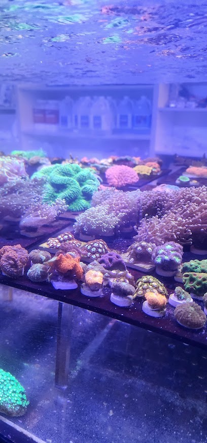 Saltwater Pros Canada