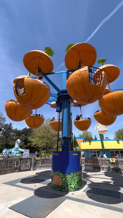 The Pumpkin Patch