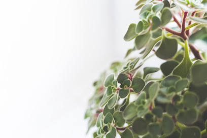 DSMS Plants