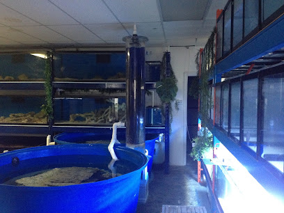 Aquarium Service Toronto