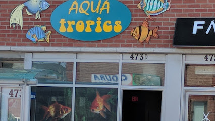 Aqua Tropics