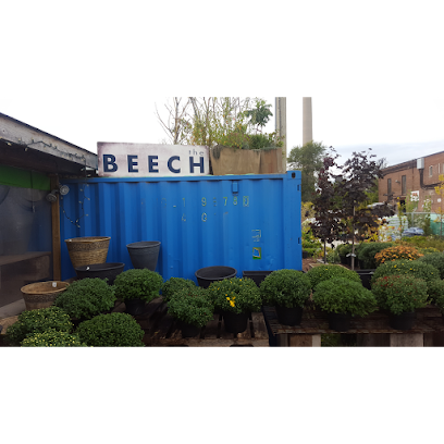 Beech Nursery