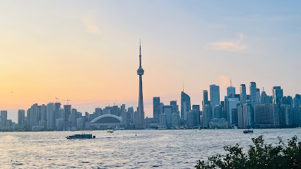 Skyline View