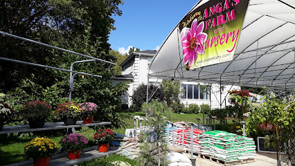 Anga's Farm & Nursery