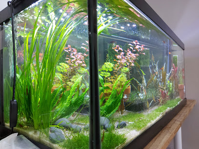 True North Aquascapes