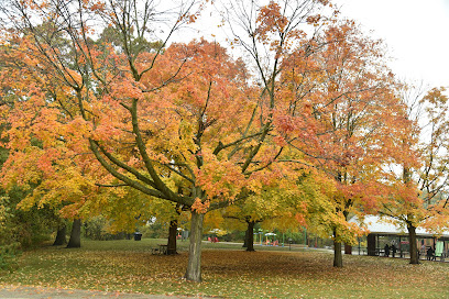 High Park Picnic Site