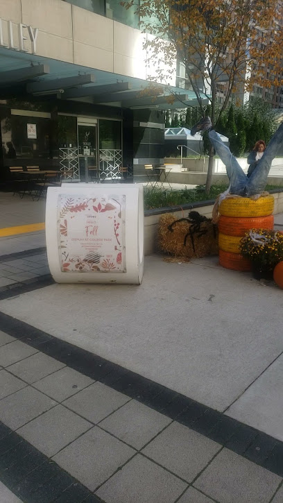 College Park Market