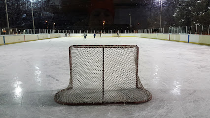 Irving W Chapley Rink