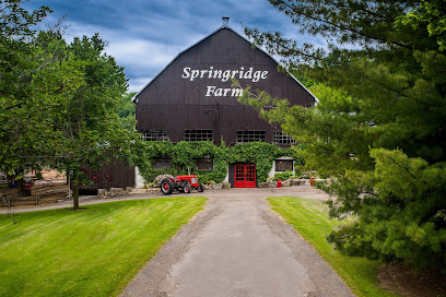 Springridge Farm