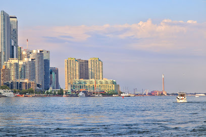 City Skyline and Sunset Viewpoint