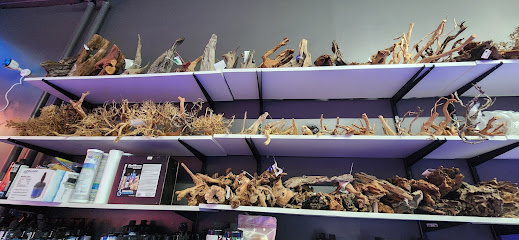 DTAquarium