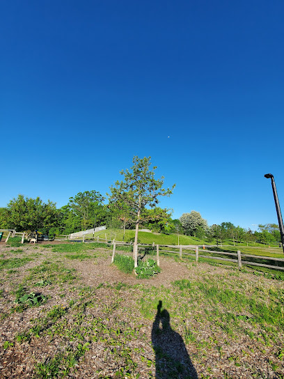 Cedarvale Park Outdoor Skating