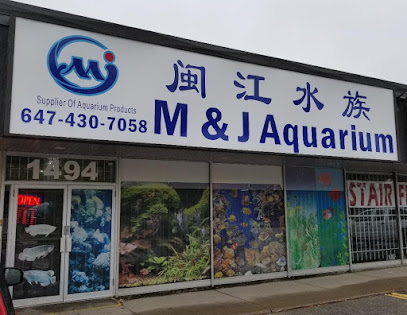 M&J Aquarium