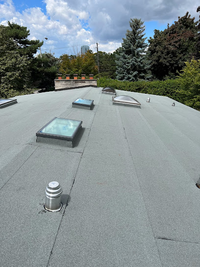 The Roof Technician - Roof Repairs - Flat Roofing - Skylights